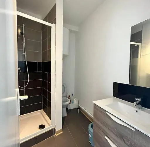 En Plein Centre De Breszt